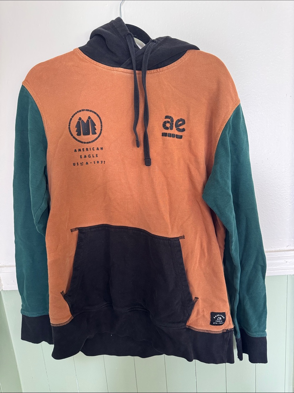 American Eagle Outfitters Men's Colorblock Hooded Sweatshirt - Rust/Green/Black